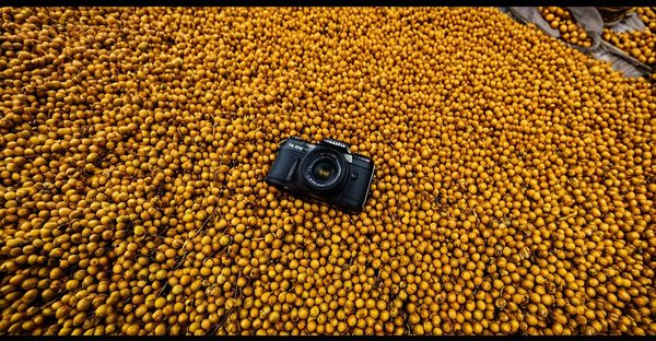 Agence de voyage parfum d'automne : votre circuit sur mesure au vietnam